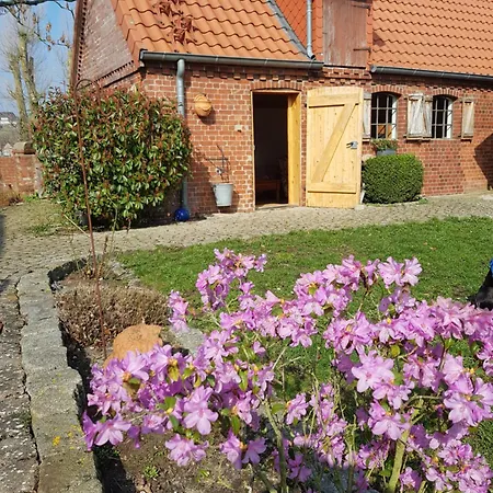 Ferienhaus Voern-Diek Hohnstorf Extérieur photo